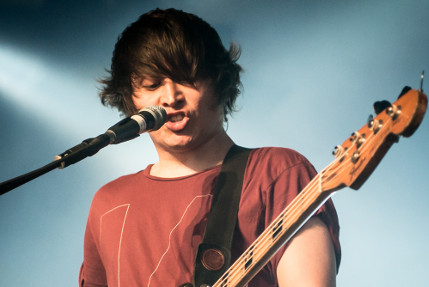 the wombats